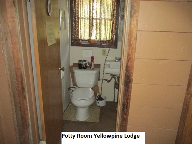 A picture containing bathroom, toilet, indoor, wall

Description automatically generated