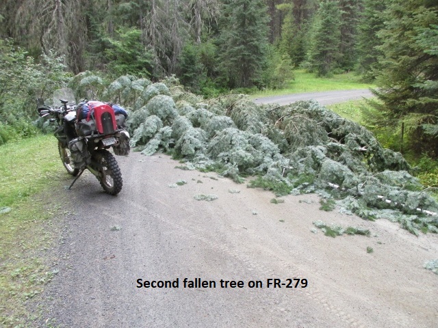 A picture containing outdoor, road, tree, motorcycle

Description automatically generated