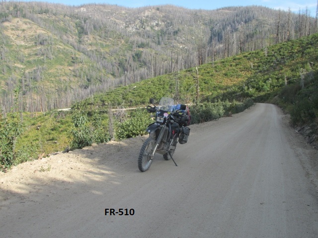 A picture containing road, outdoor, riding, bicycle

Description automatically generated