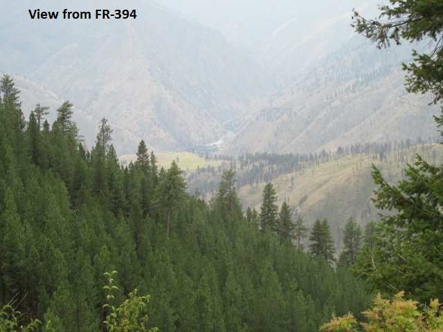 A picture containing tree, outdoor, mountain, nature

Description automatically generated